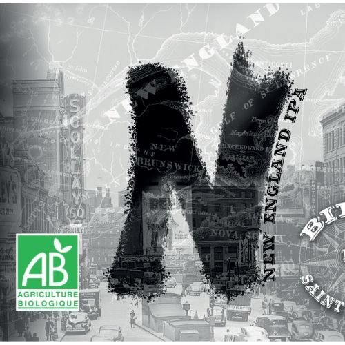 cropped-N.jpg LA N MOSAIC BIO - 5.6% - Carton de 12 x 0.50L – Image 1