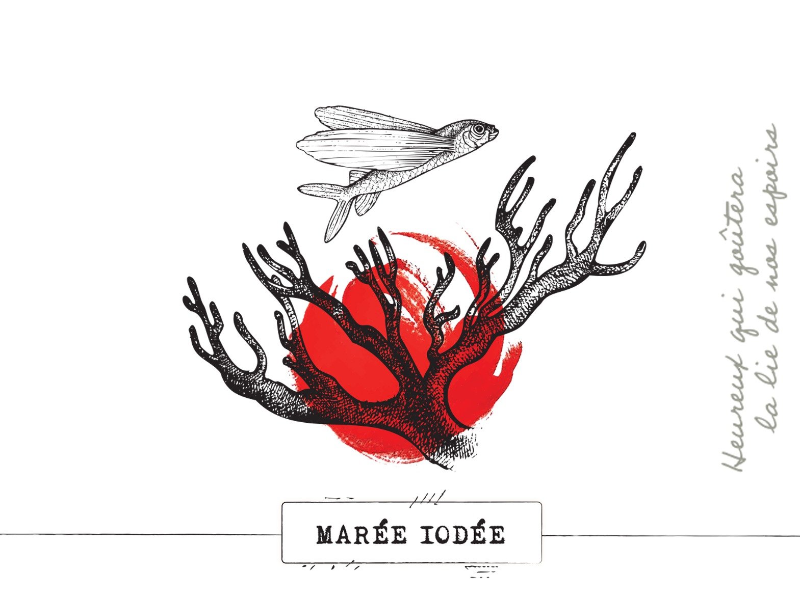 MI Marée Iodée (BA) - Dry stout – Image 1