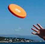 Frisbee de la Brasserie