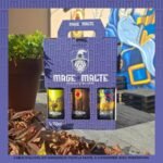 Coffret Fiesta 🎁 6 bières BIO 33Cl Brasserie Mage Malte
