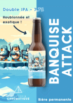Banquise Attack - 7.7% – Image 2