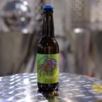 kombucha thé noir et houblons