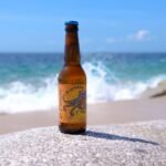 Kombucha Thé Noir et Houblons - 0.33L